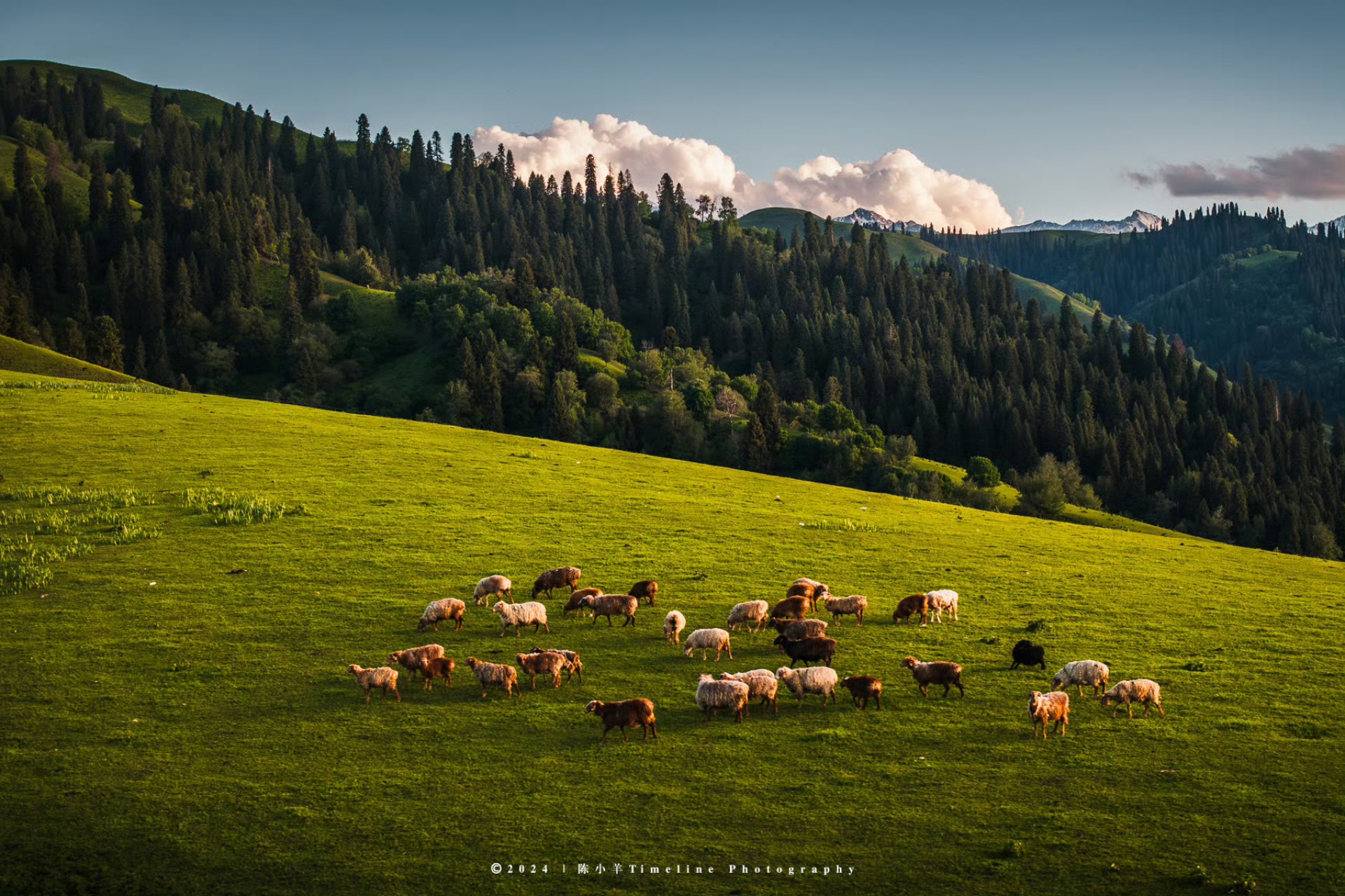 DJI fait face à la pénurie de drones aux États-Unis et réaffirme son engagement sur le marché
