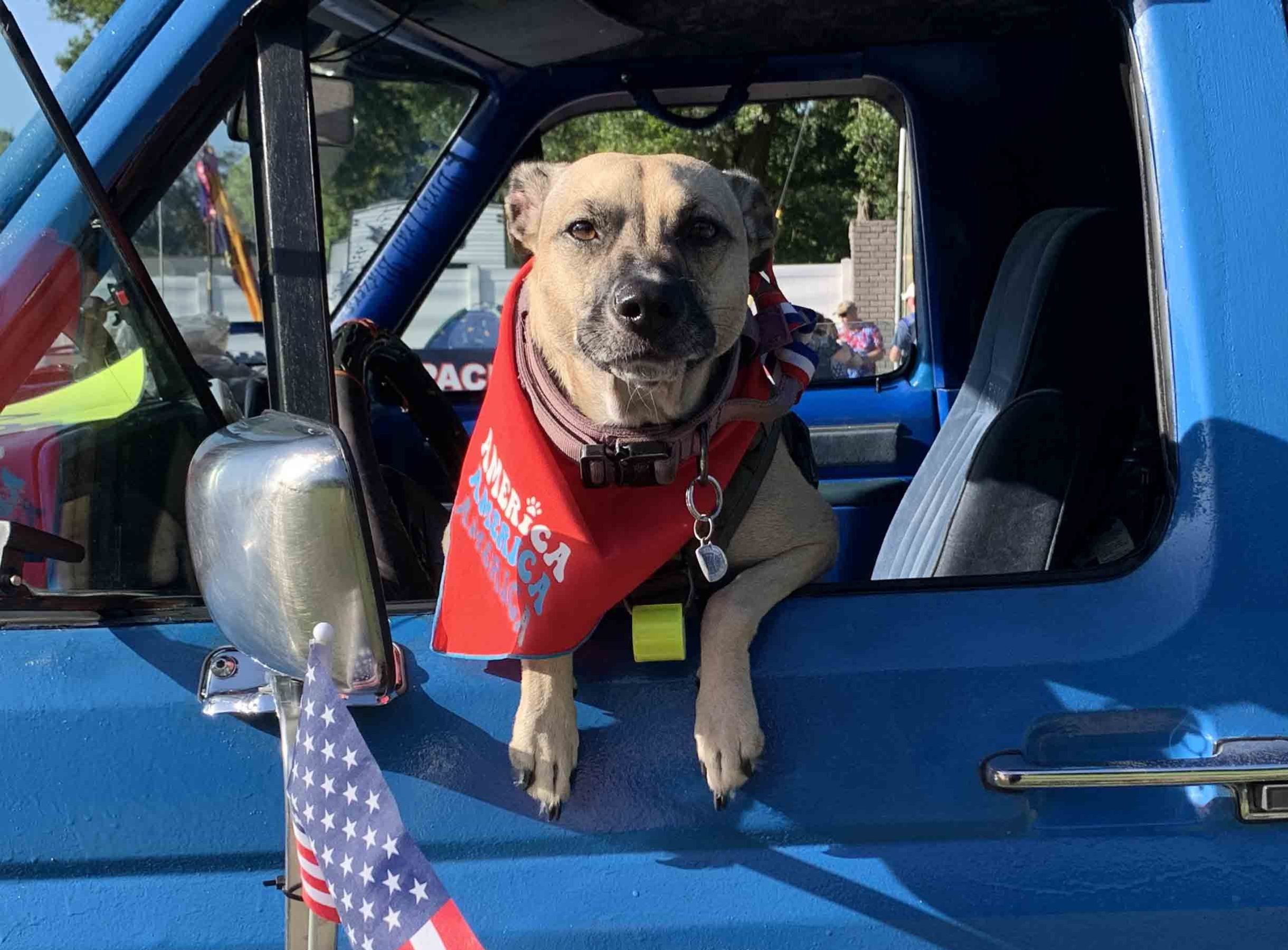 Fête de l&rsquo;Indépendance : Retour du Festival et Spectacle de Drones