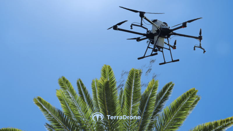 Innovation dans l&rsquo;agriculture : Terra Drone Agri et la lutte contre les cochenilles des palmiers à huile en Malaisie