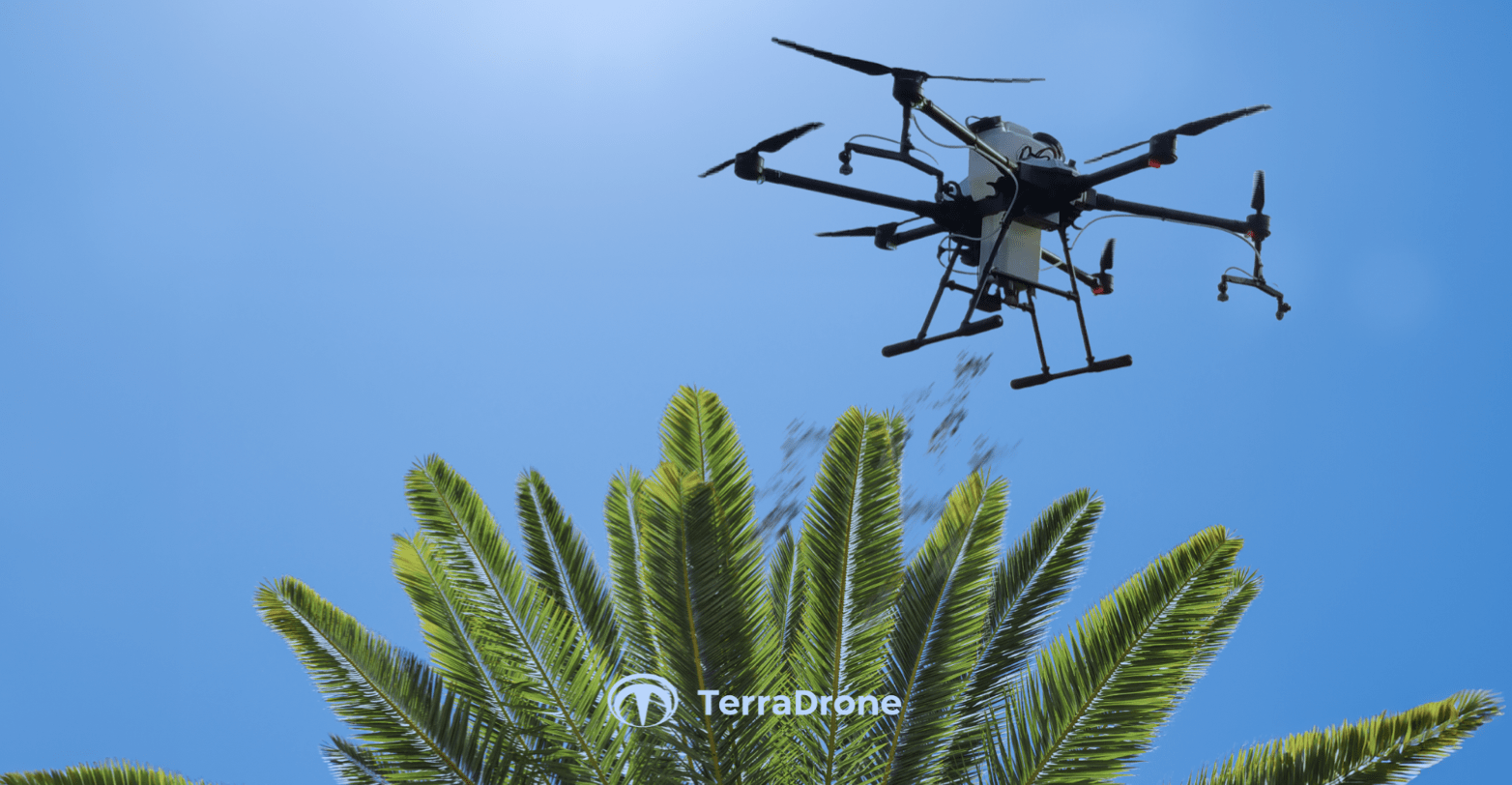 Innovation dans l&rsquo;agriculture : Terra Drone Agri et la lutte contre les cochenilles des palmiers à huile en Malaisie