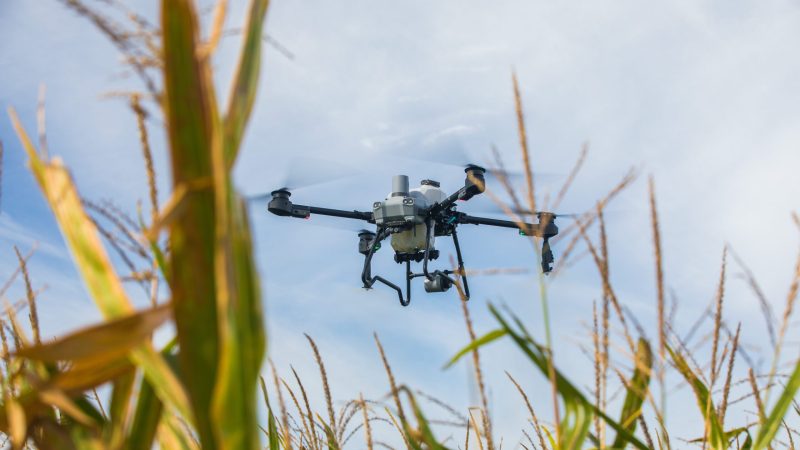 L&rsquo;Impact Transformateur des Drones en Agriculture