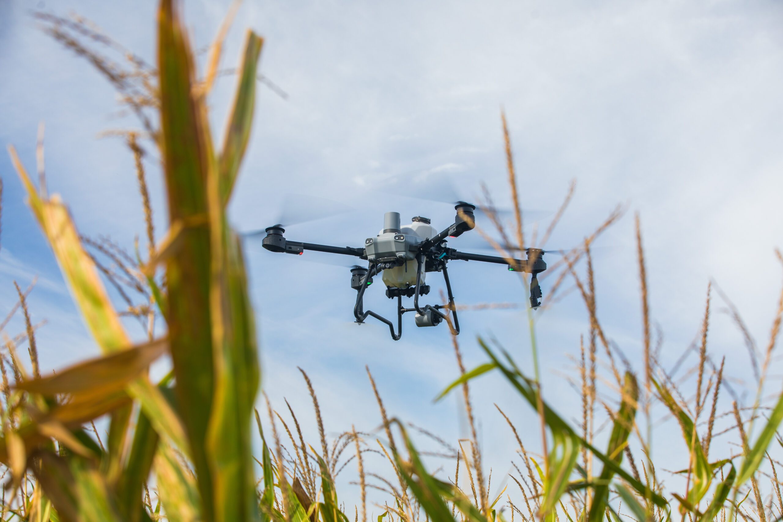 L&rsquo;Impact Transformateur des Drones en Agriculture