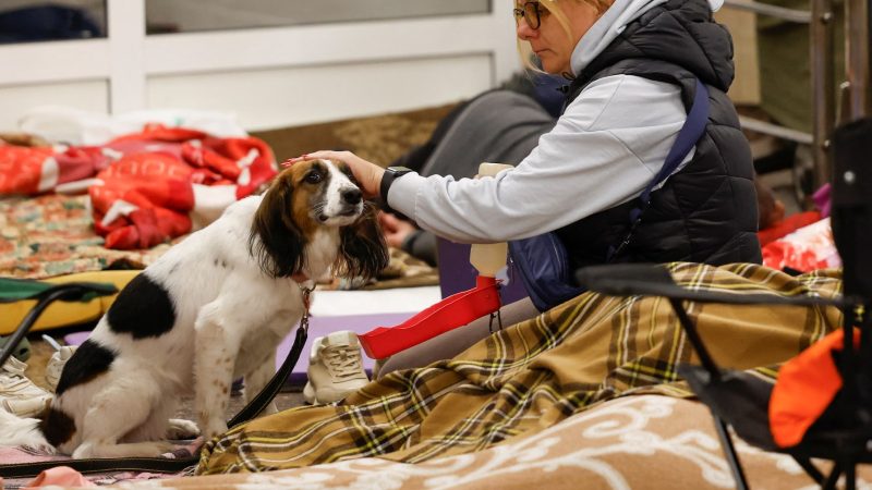 L&rsquo;Impact des Drones dans les Conflits Modernes: L&rsquo;Exemple de l&rsquo;Attaque en Ukraine