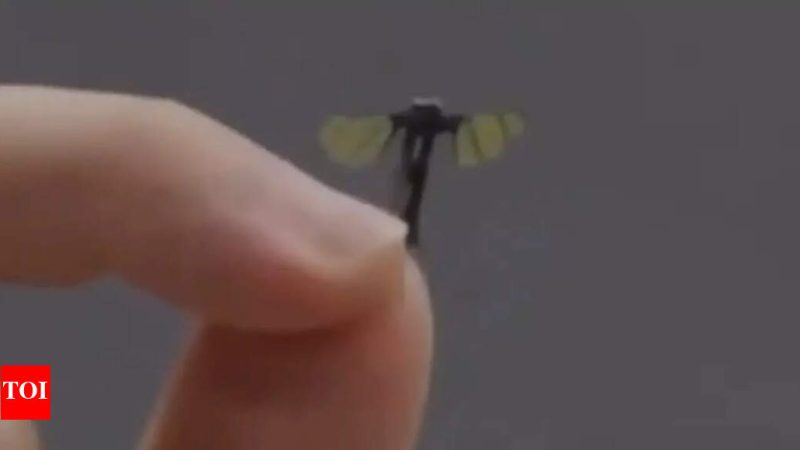 La Chine dévoile un drone espion de la taille d&rsquo;un moustique pour les opérations militaires secrètes