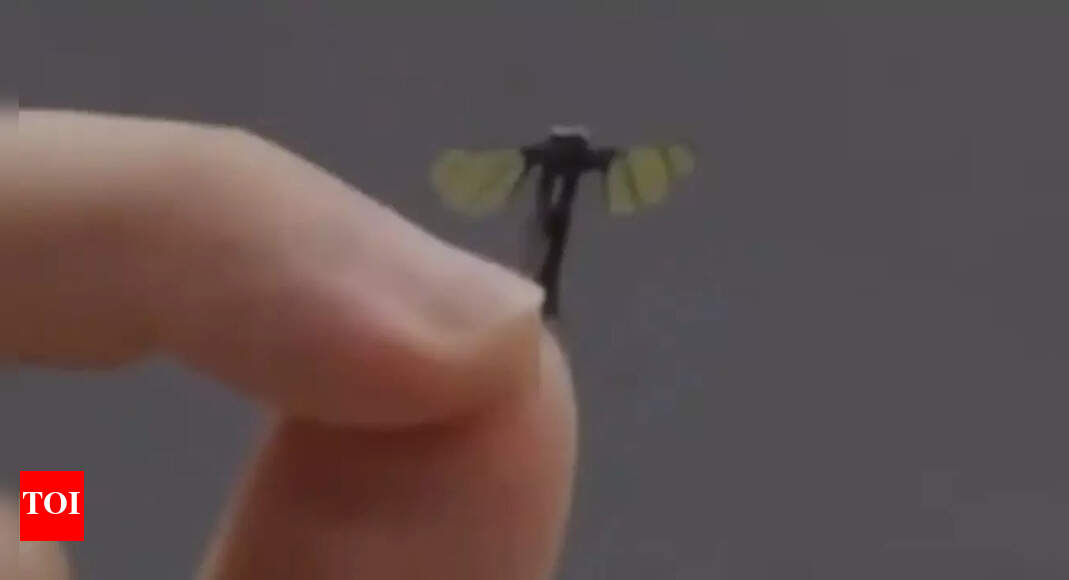 La Chine dévoile un drone espion de la taille d&rsquo;un moustique pour les opérations militaires secrètes