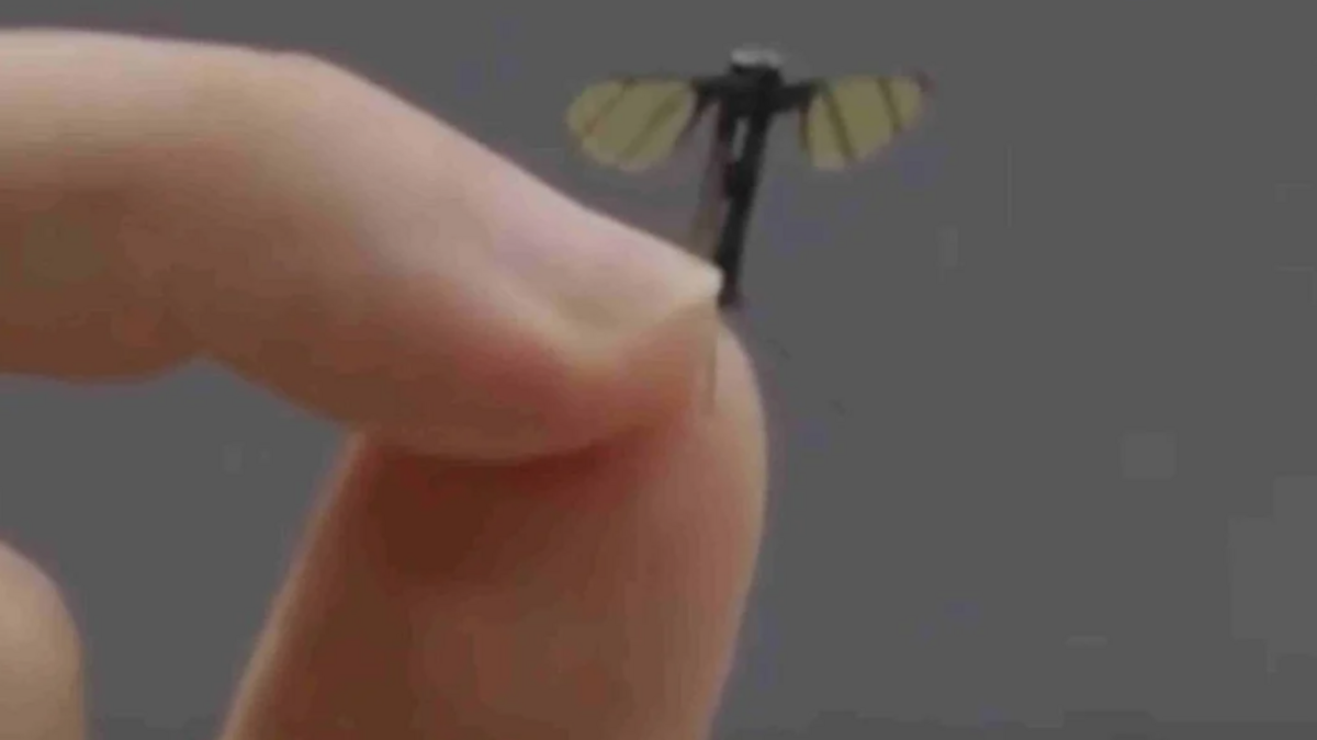 La Chine dévoile un drone espion de la taille d&rsquo;un moustique