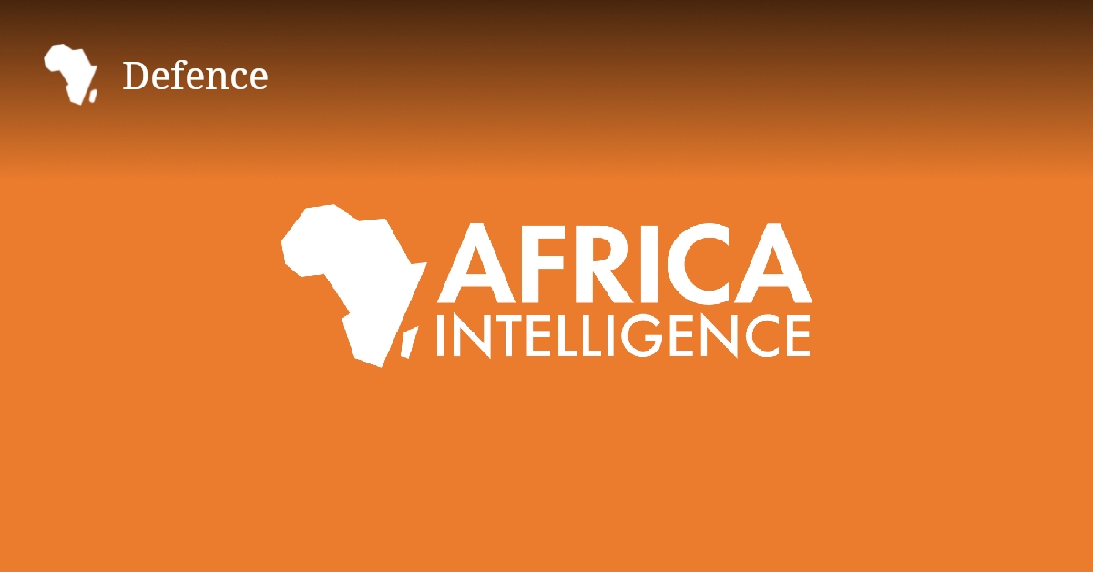 L&rsquo;armée renforce son arsenal avec des drones Bayraktar turcs