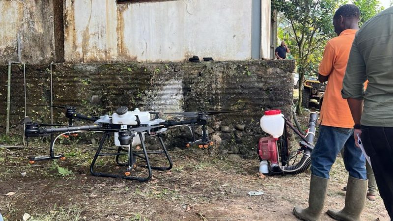 Révolution dans les plantations de Martinique : Un drone agricole en action au Lorrain