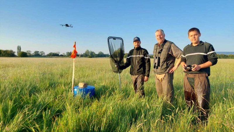 Utilisation innovante de drones pour protéger les faons pendant la fauche en Normandie