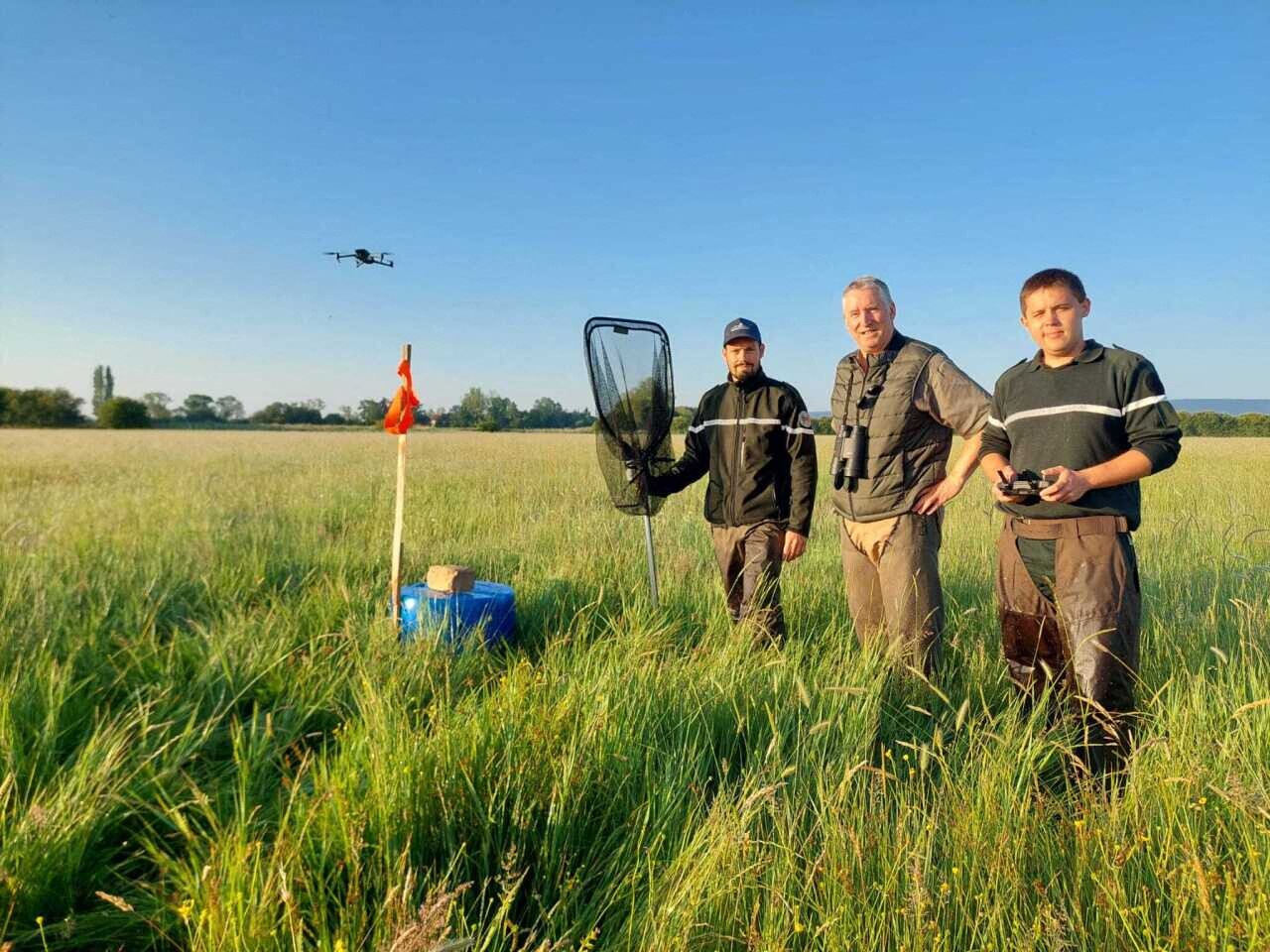 Utilisation innovante de drones pour protéger les faons pendant la fauche en Normandie