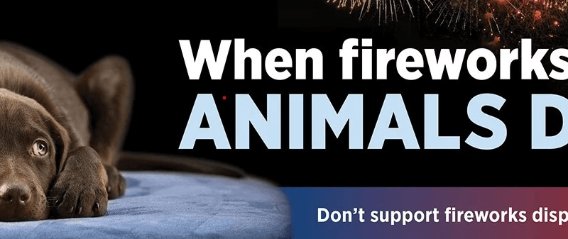 Canada : Les spectacles de drones pourraient remplacer les feux d&rsquo;artifice traditionnels