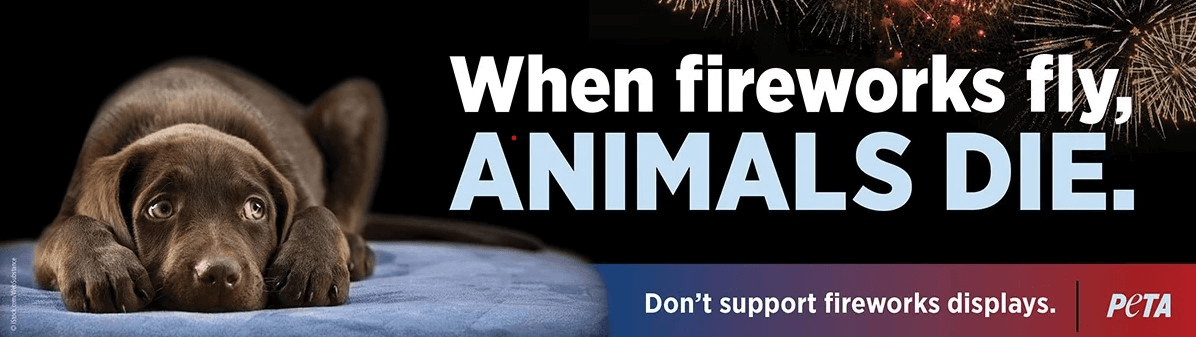 Canada : Les spectacles de drones pourraient remplacer les feux d&rsquo;artifice traditionnels