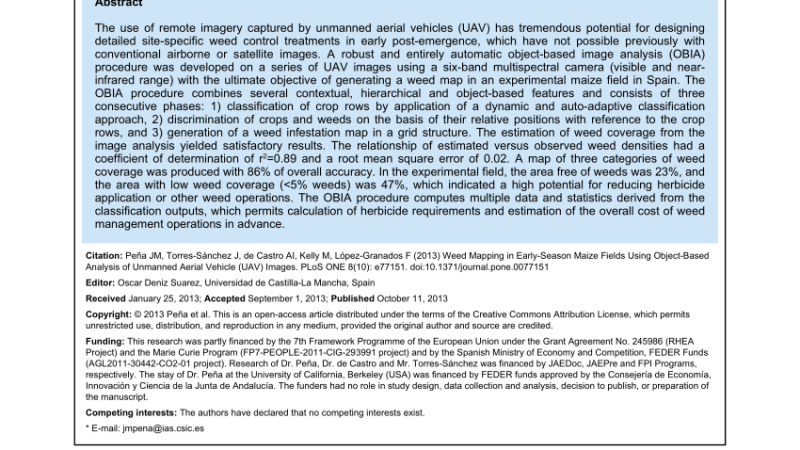Cartographie des Mauvaises Herbes dans les Champs de Maïs via les Drones