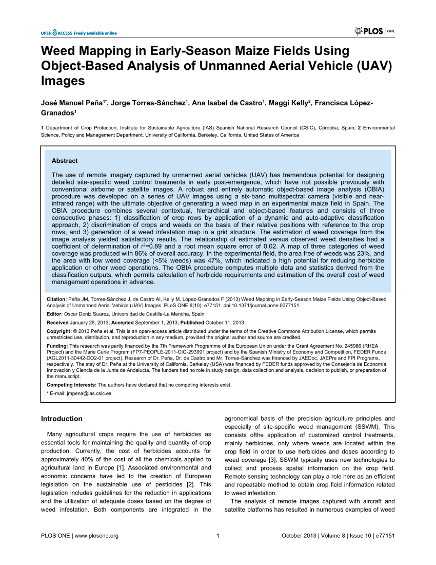Cartographie des Mauvaises Herbes dans les Champs de Maïs via les Drones