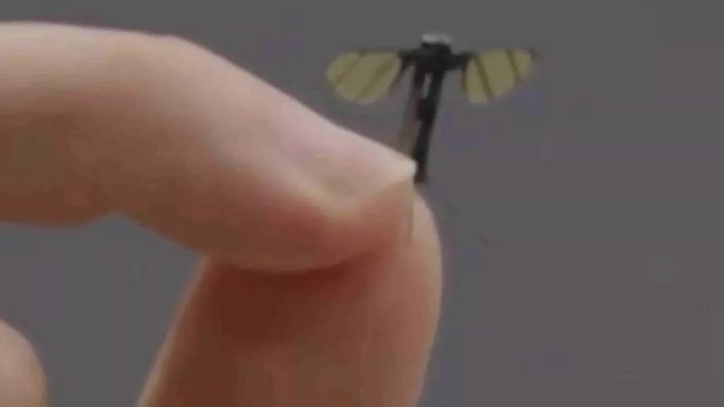 Chine : Les futurs drones de reconnaissance de taille moustique