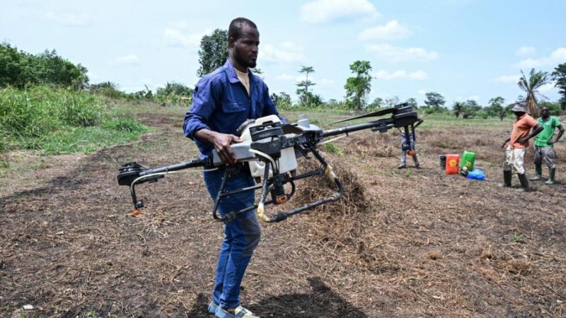 Côte d&rsquo;Ivoire : quand la jeunesse redécouvre l&rsquo;agriculture grâce aux technologies modernes