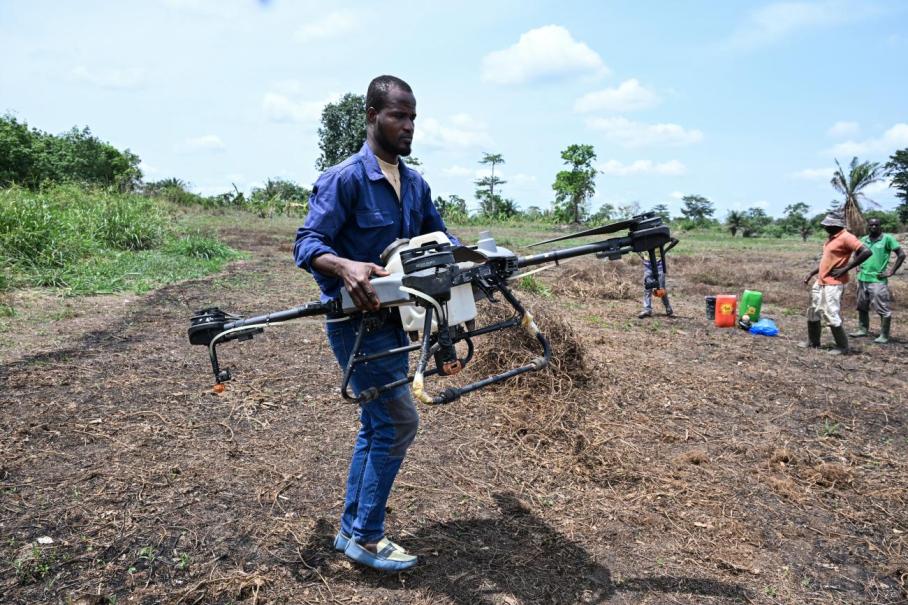 Côte d&rsquo;Ivoire : quand la jeunesse redécouvre l&rsquo;agriculture grâce aux technologies modernes
