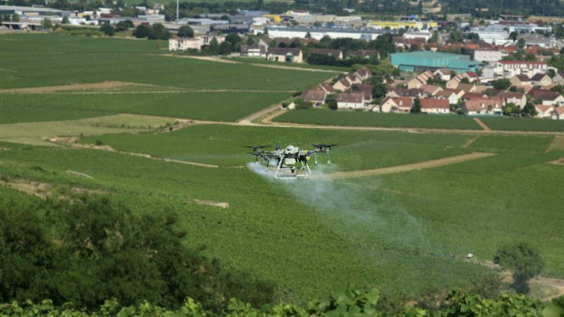 Drones en vitiforesterie : Révolution dans les vignobles français