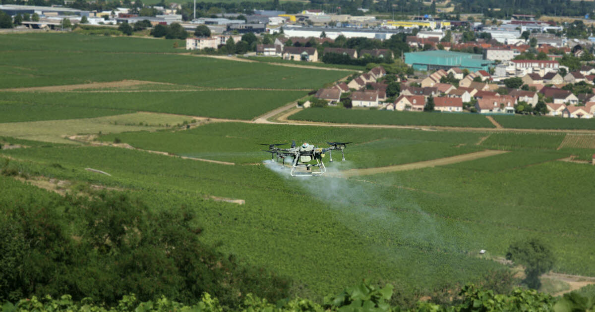 Drones en vitiforesterie : Révolution dans les vignobles français