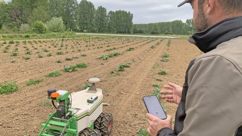 Drones et robots : les révolutions technologiques dans l&rsquo;agriculture française