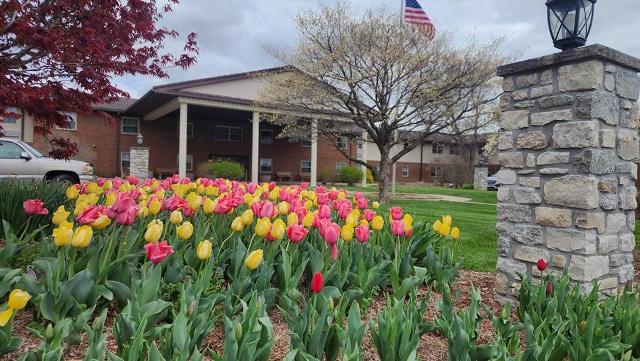 Éblouissante présentation de drones à la communauté résidentielle de Villa Rose