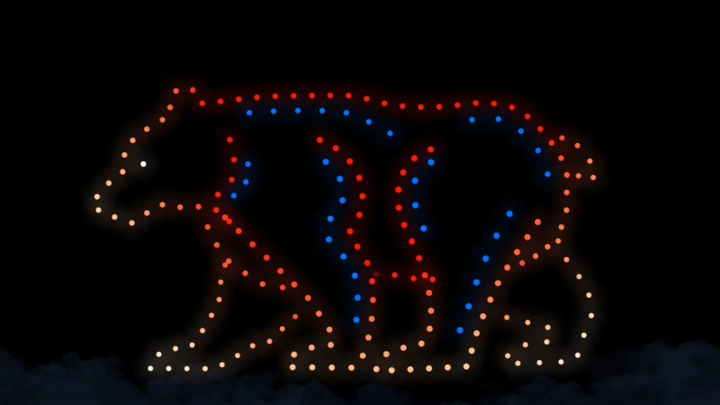 #États-Unis : Le Spectacle Fascinant des Drones à Bear