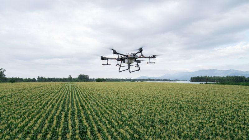Menace de perturbation imminente sur le marché des drones agricoles