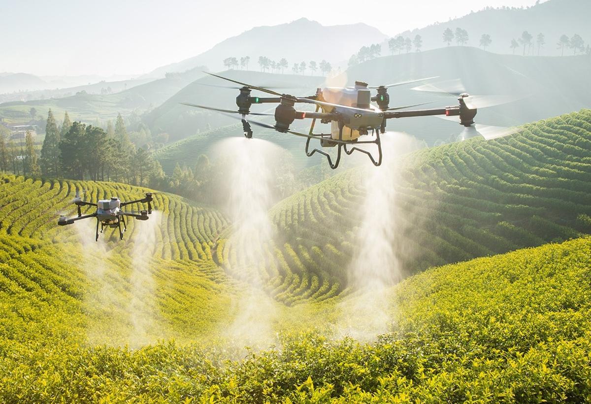 Saint-Jean-Pied-de-Port : Une révolution dans l&rsquo;agriculture grâce aux drones