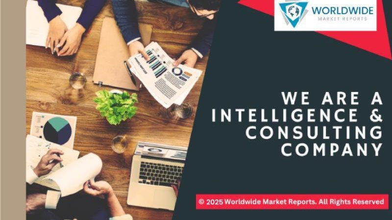 Expansion rapide du marché des drones militaires jusqu&rsquo;en 2025