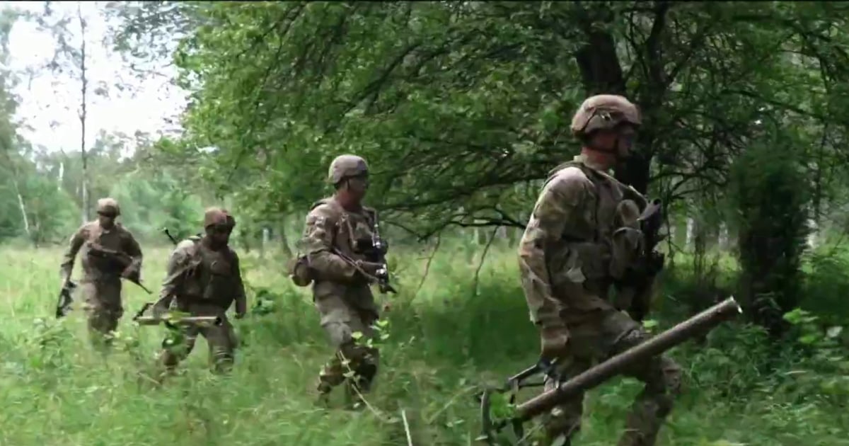 L&rsquo;armée américaine et la transformation des champs de bataille par les drones