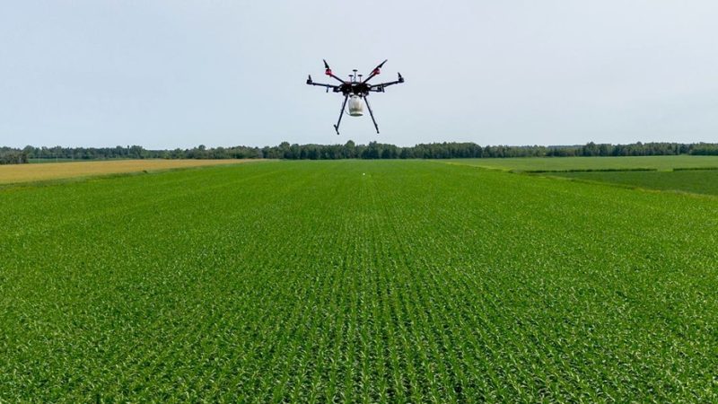 L&rsquo;ascension Vertueuse des Drones dans l&rsquo;Agriculture Moderne