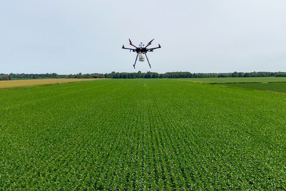 L&rsquo;ascension Vertueuse des Drones dans l&rsquo;Agriculture Moderne