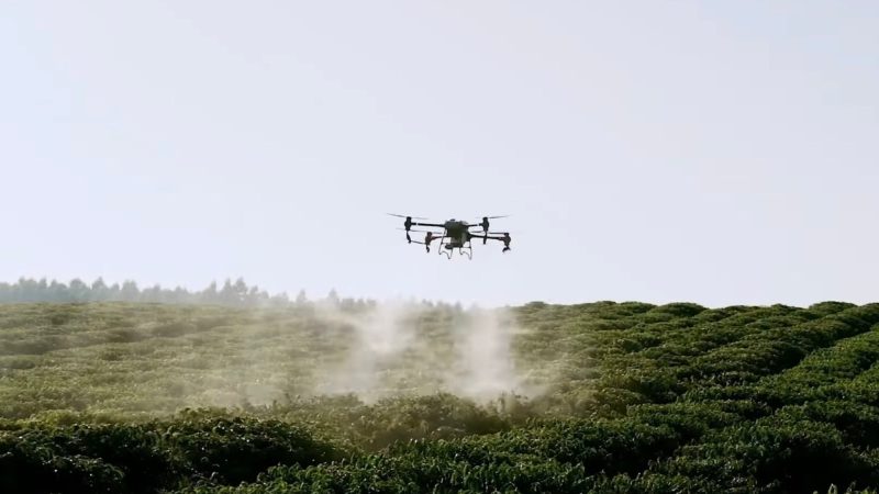 Révolution dans les plantations de café au Brésil : Le déploiement des drones DJI pour la protection des cultures