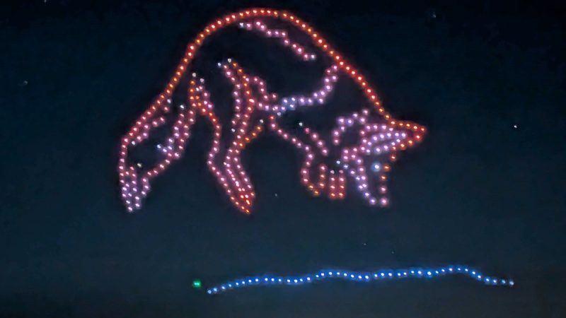 Spectacle impressionnant de drones lumineux au Canada