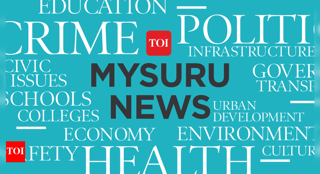 Un Show Spectaculaire de Drones pour Dasara à Mysuru