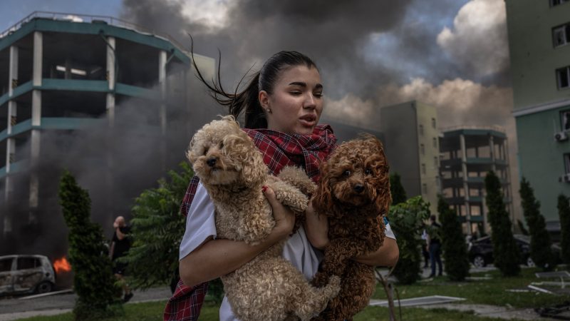 Utilisation des drones sur le front russo-ukrainien