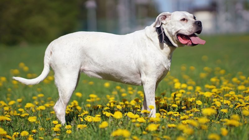 Évolutions et impacts récents sur le marché des drones