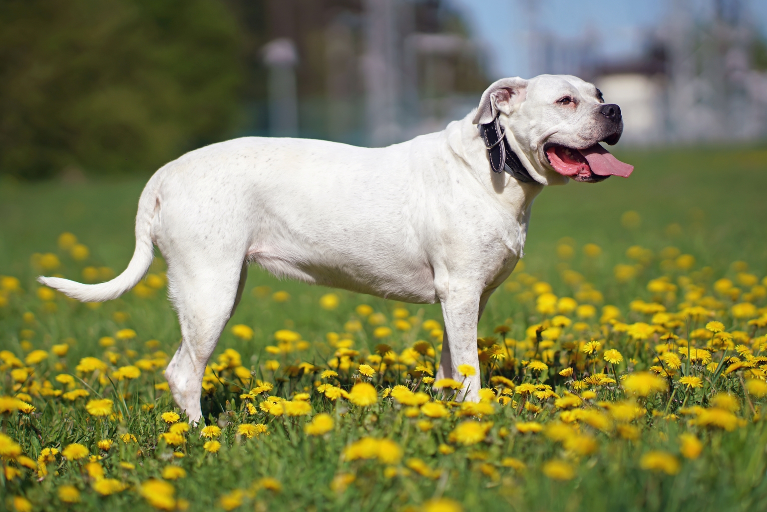 Évolutions et impacts récents sur le marché des drones