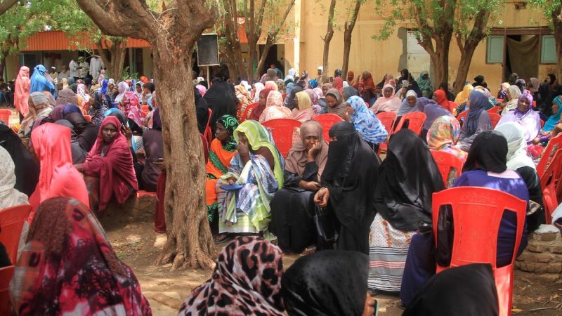 Frappes de drones au Soudan : Une série d&rsquo;attaques ciblées soulève des inquiétudes