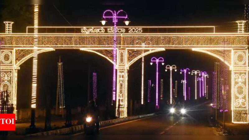 Inde : Mysuru organise un spectacle de drones payant pour Dasara