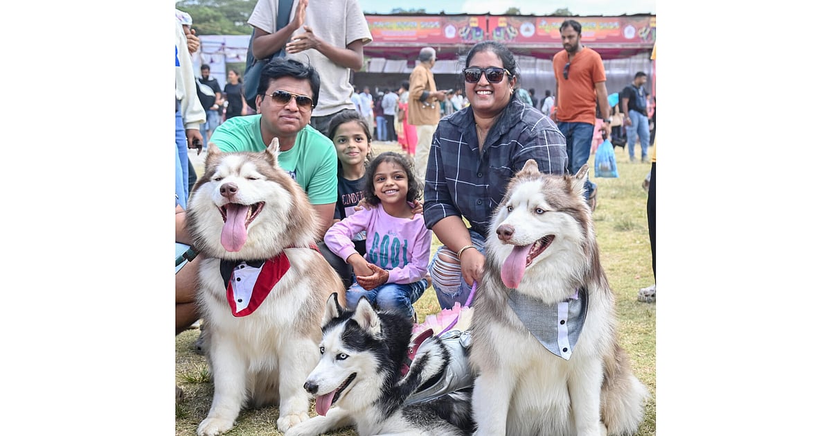 La magie des drones illumine le célèbre Mysuru Dasara