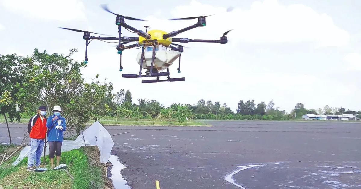 Révolution agricole au Vietnam : 6 000 drones au service des agriculteurs