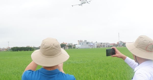 Révolution agricole au Vietnam : l&rsquo;ascension des drones dans les fermes