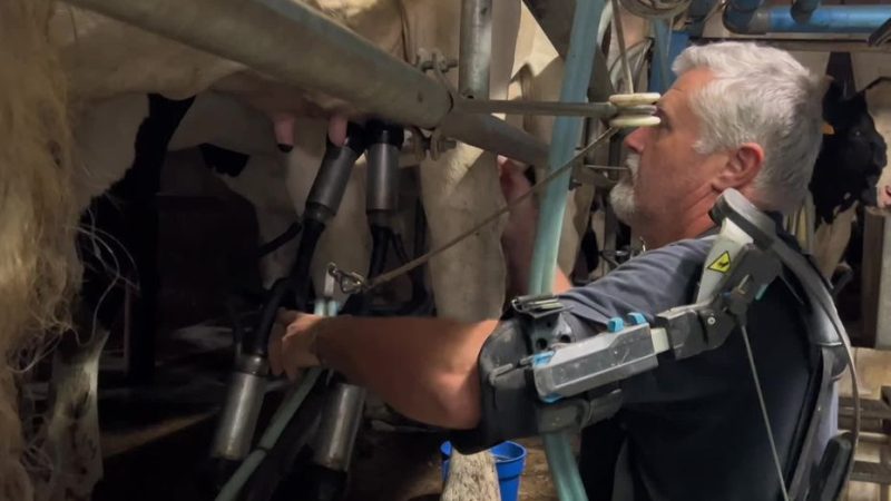 Révolution agricole : quand les drones prennent soin du bétail