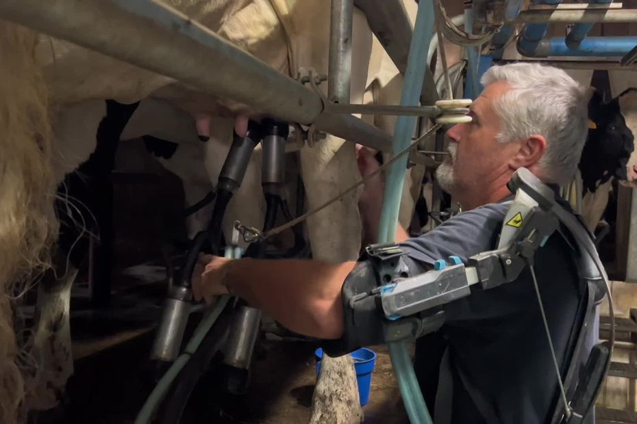 Révolution agricole : quand les drones prennent soin du bétail