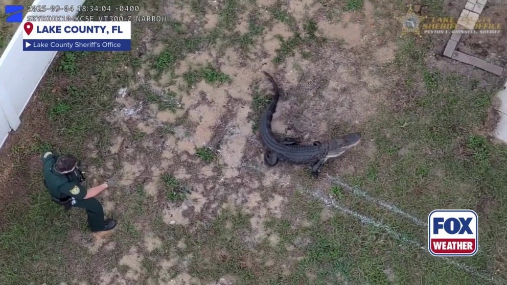 #USA Bienvenue à l&rsquo;ère des drones de divertissement : un spectacle lumineux époustouflant