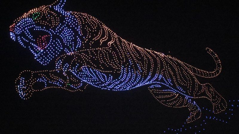 Un nouveau record du monde à Mysuru avec une représentation de tigre faite de drones