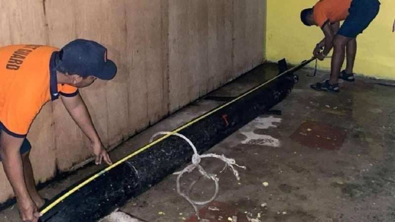 Découverte d&rsquo;un Drone Sous-Marin Chinois aux Philippines