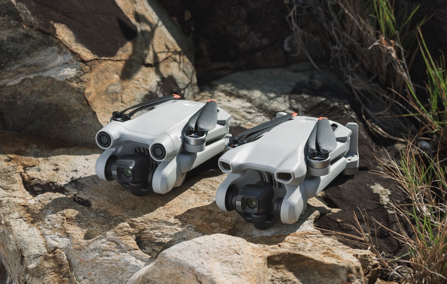 Le DJI Mini 3 Atteint son Prix le Plus Bas sur Amazon