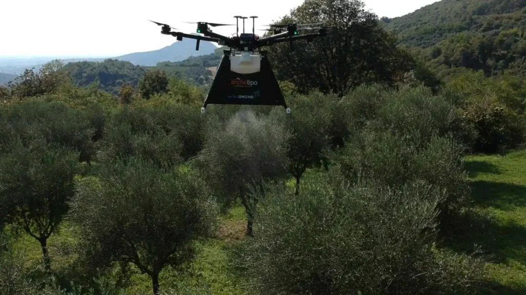 Nouvelle régulation sur l&rsquo;utilisation des drones dans les oliveraies en Italie